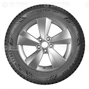 Ikon (Nokian Tyres) Character Ice 7 (Nordman 7) SUV 235/65 R17 108T