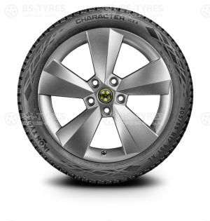 Ikon (Nokian Tyres) Character Ice 8 (Nordman 8) SUV 235/65 R17 108T