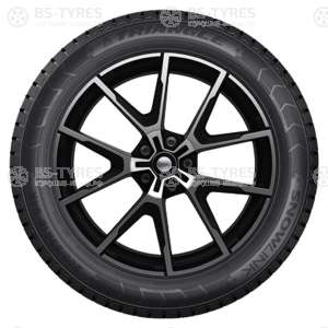 Triangle Snow PL01 255/55 R19 111R