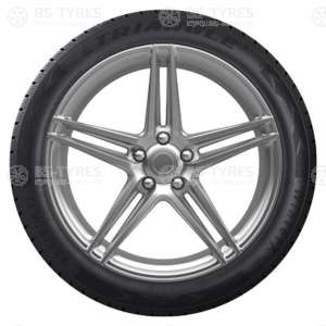 Triangle WinterX TW401 215/65 R16 102H