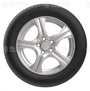 IcePioneer 868